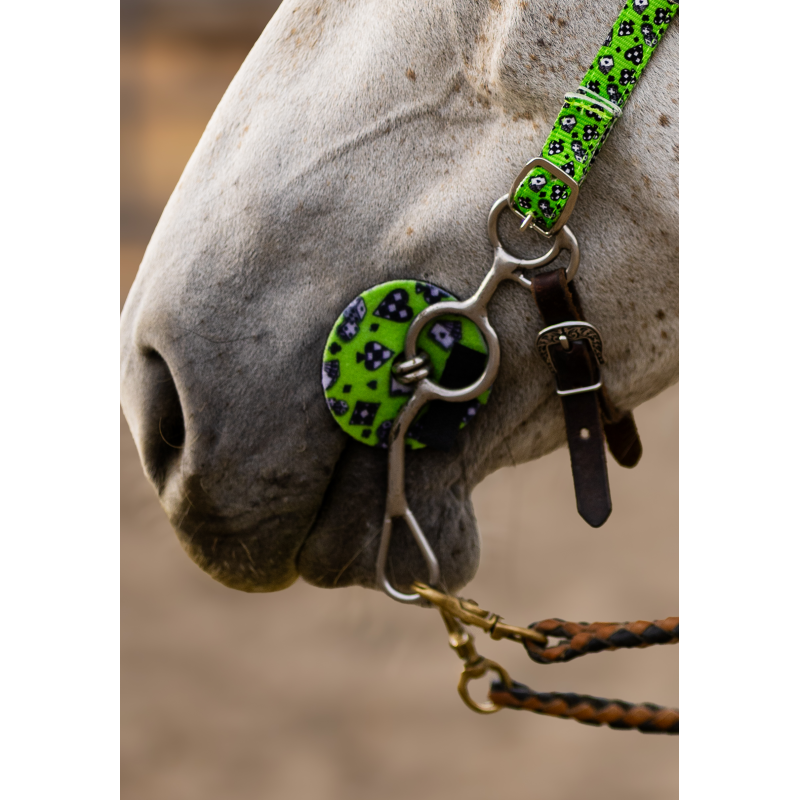 House of Cards Bit Guard