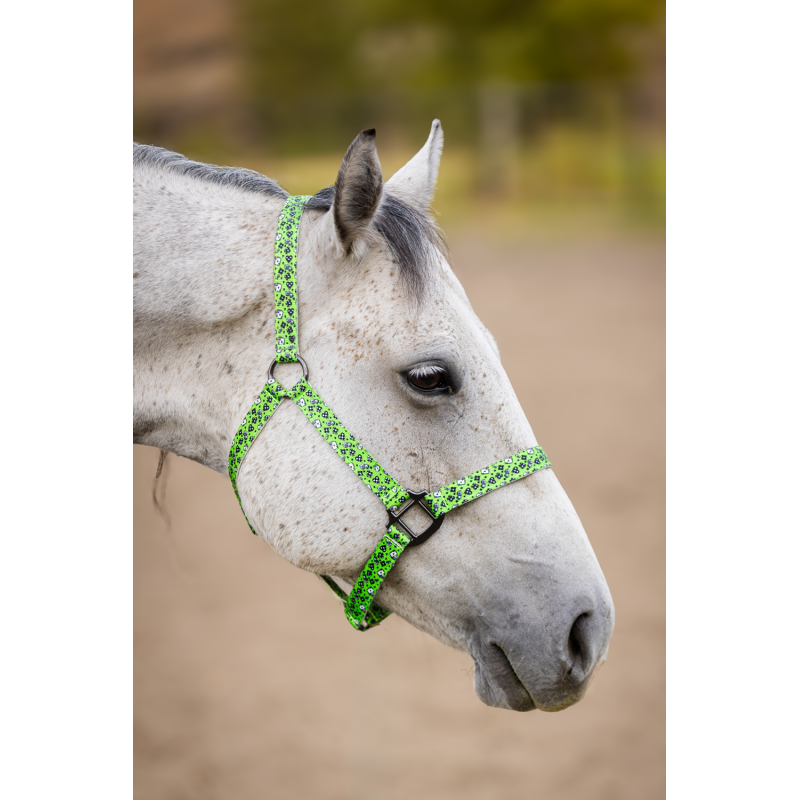 Schulz Equine Nylon Halter House of Cards