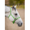 Schulz Equine Nylon Halter House of Cards