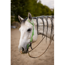 Schulz Equine One Ear Headstall House of Cards