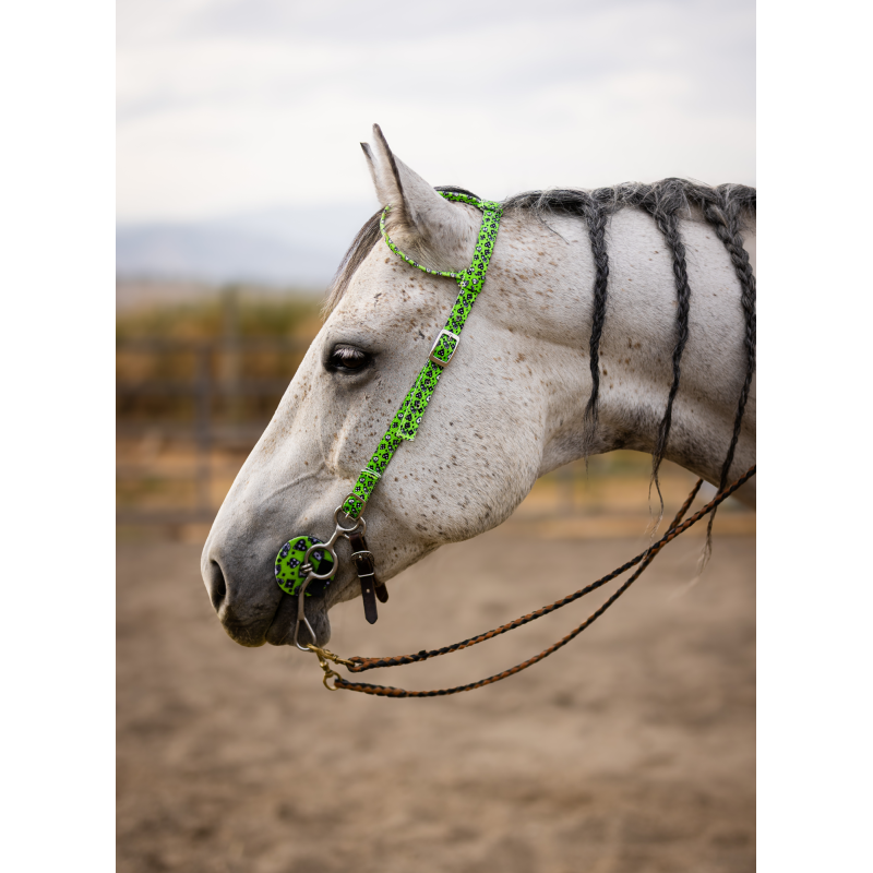 Schulz Equine One Ear Headstall House of Cards