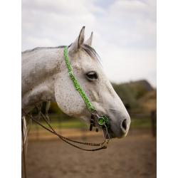 Schulz Equine One Ear Headstall House of Cards