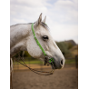 Schulz Equine One Ear Headstall House of Cards