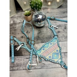 Pastel Aztec Tack Set