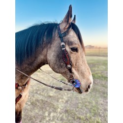 Pink Designer Leather Headstall & Fringe Breast Collar Set