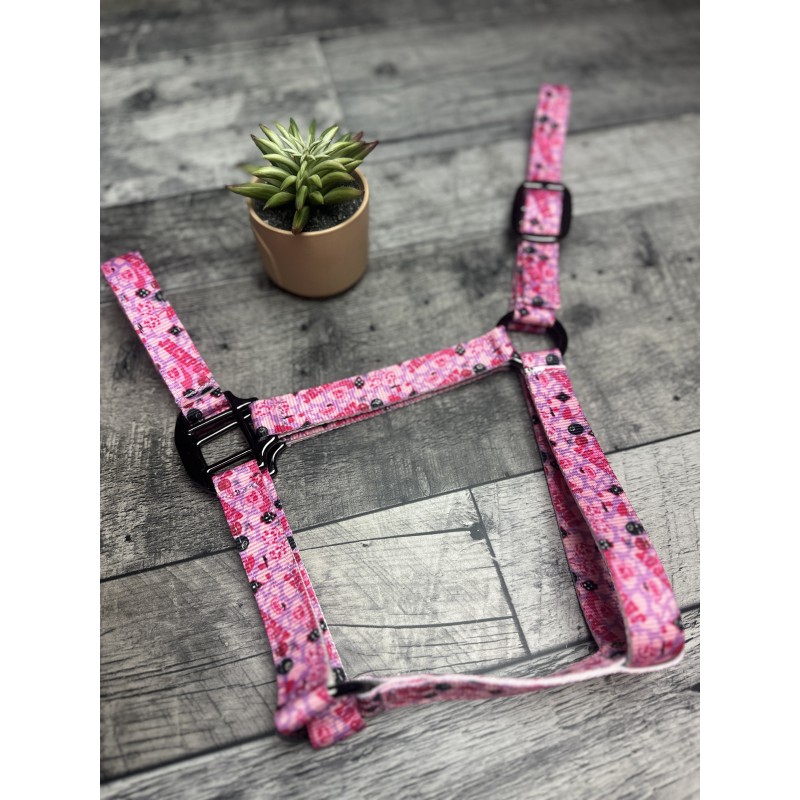 Schulz Equine Nylon Halter Jackpot