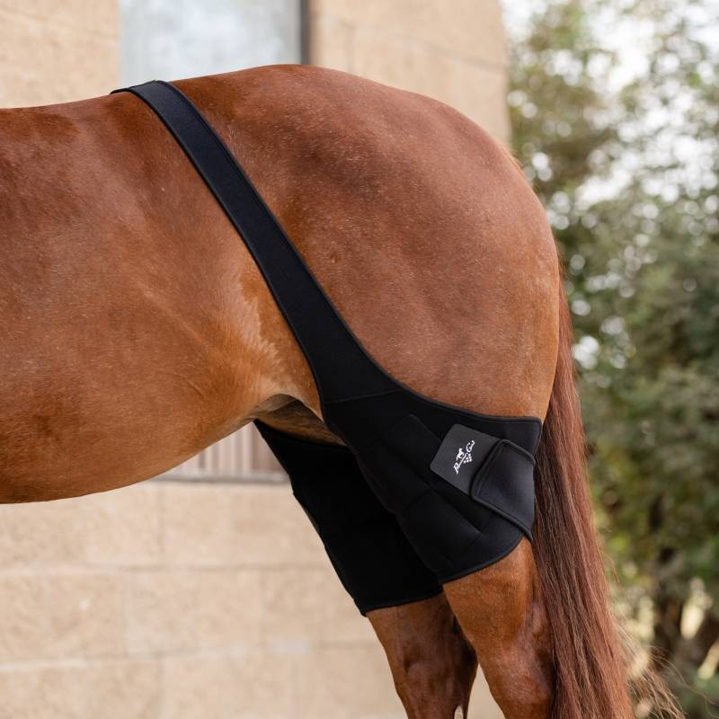 Professionals Choice Stifle Ice Wraps