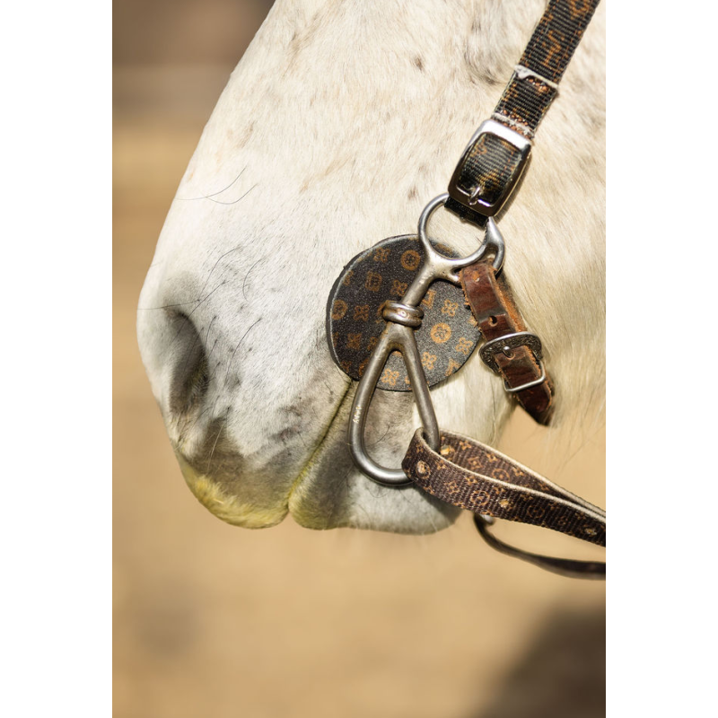 SE Designer Bit Guard