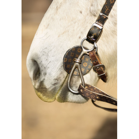 SE Designer Bit Guard