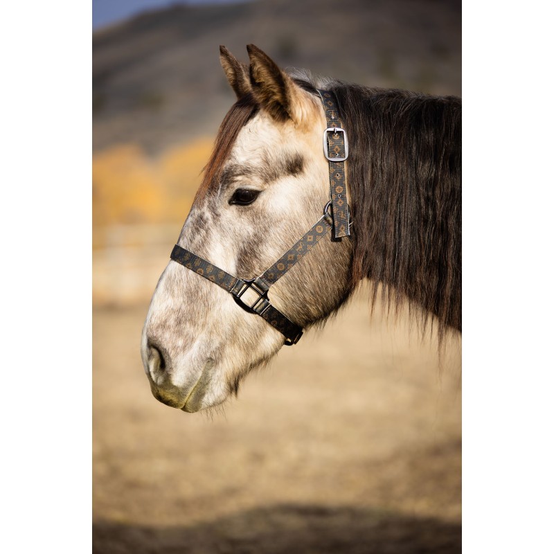 Schulz Equine Nylon Halter SE Designer