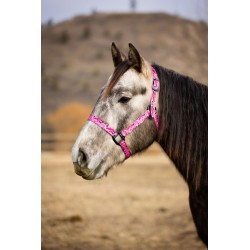 Schulz Equine Nylon Halter Jackpot