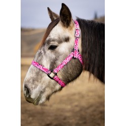 Schulz Equine Nylon Halter...