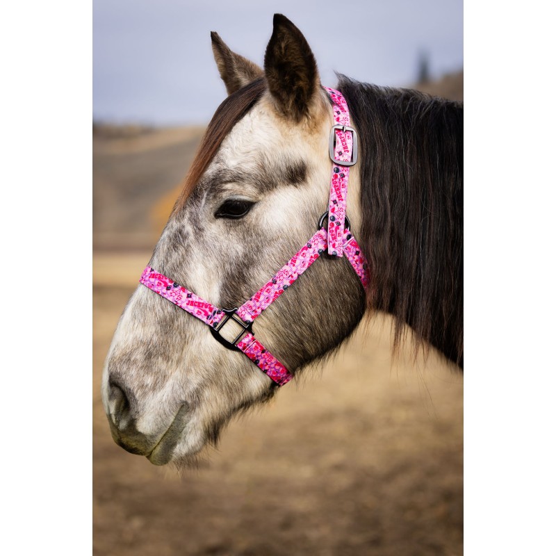 Schulz Equine Nylon Halter Jackpot