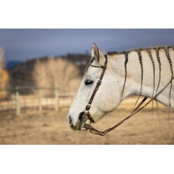 Schulz Equine One Ear Headstall SE Designer