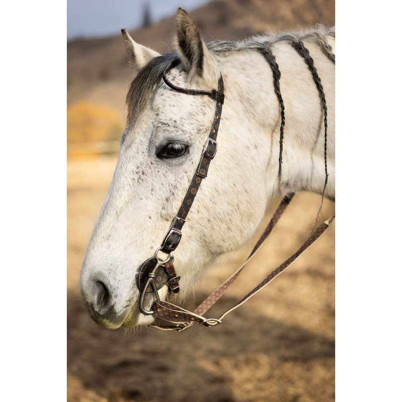 Schulz Equine One Ear Headstall SE Designer