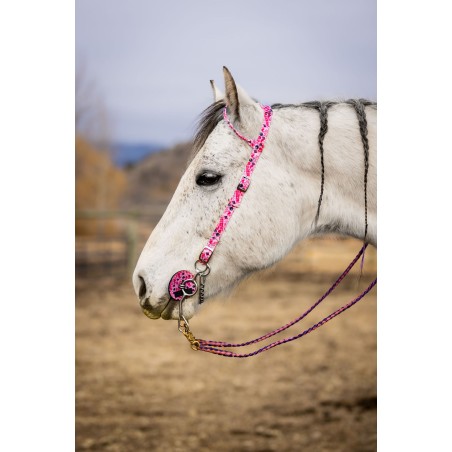 Schulz Equine One Ear Headstall Jackpot