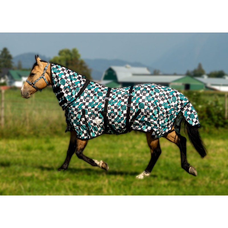 Schulz Equine Fly Sheet- Turquoise Glass