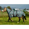 Schulz Equine Fly Sheet- Turquoise Glass