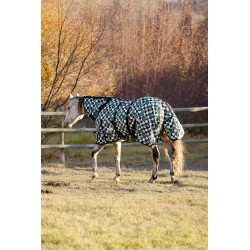 Schulz Equine Fly Sheet- Turquoise Glass