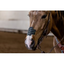copy of EquiBreathe™ Equine Nasal Patch - Pink