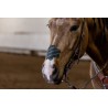 copy of EquiBreathe™ Equine Nasal Patch - Pink