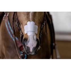 EquiBreathe™ Equine Nasal Patch - White