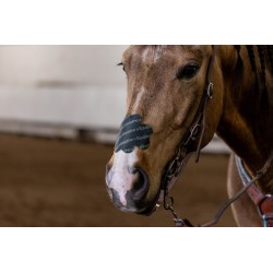 EquiBreathe™ Equine Nasal Patch - Cattle Drive