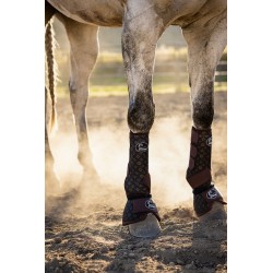 Schulz Equine 2 Pack SE...