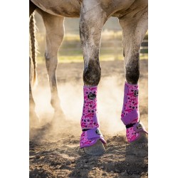 Schulz Equine 2 Pack...