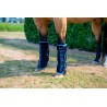Schulz Equine Perf Boost Cold Pressed Ice Boots