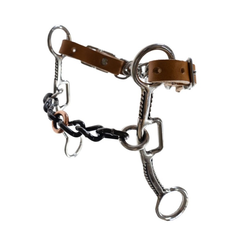 Reinsman Sharon Camarillo Bravo Sweet Iron Draw Chain Bit