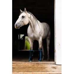 Schulz Equine Perf Boost Cold Pressed Ice Boots