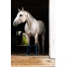 Schulz Equine Perf Boost Cold Pressed Ice Boots