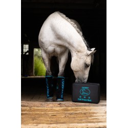 Schulz Equine Perf Boost Cold Pressed Ice Boots