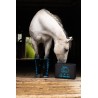 Schulz Equine Perf Boost Cold Pressed Ice Boots