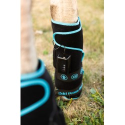 Schulz Equine Perf Boost Cold Pressed Ice Boots