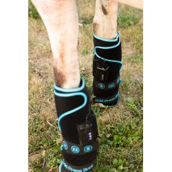Schulz Equine Perf Boost Cold Pressed Ice Boots