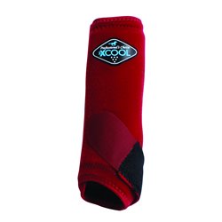 Professional's Choice 2X Cool SMB : 2Pack Fronts