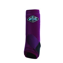 Professional's Choice 2X Cool SMB : 2Pack Fronts