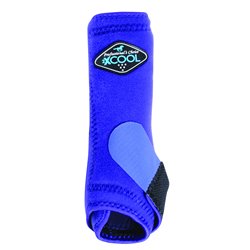 Professional's Choice 2X Cool SMB : 2Pack Fronts