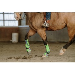 2 Pack Schulz Equine Aloha Sports Boots