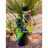 2 Pack Schulz Equine Aloha Sports Boots
