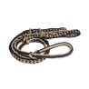 Braided Barrel Reins