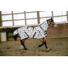 Schulz Equine Fly Sheet - Sunset Cactus