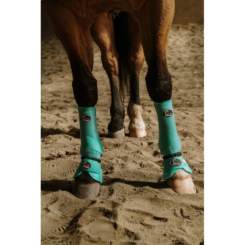 Turquoise on sale horse boots