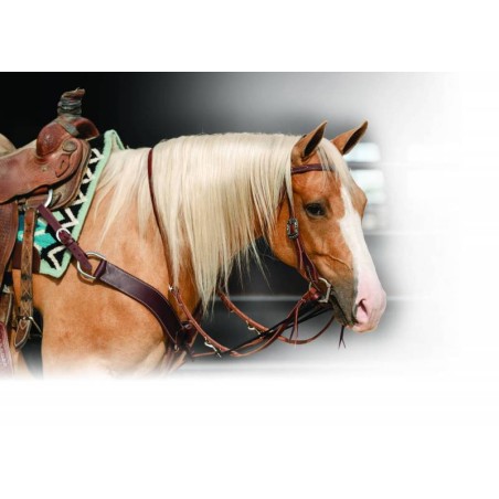 Ranch hand Single Rein German Martingale