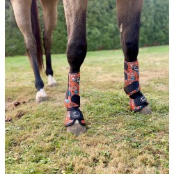 Schulz Equine 2 Pack Howdy Sports Boots