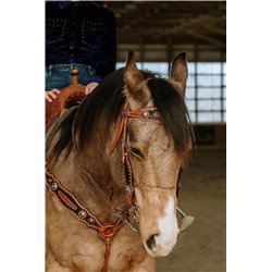 Black Silverado Headstall & Breast Collar Set