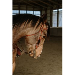 Black Silverado Headstall & Breast Collar Set