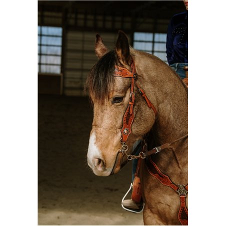 Wyatt Earp Headstall and Breast Collar Set